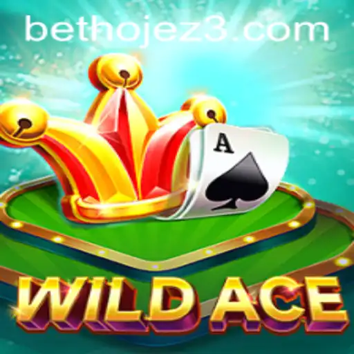 Descubra WildAce, o Jogo de cartas animado do BETHOJE.com